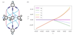 Talk: Higher order interactions cause exotic dynamics, especially directed ones